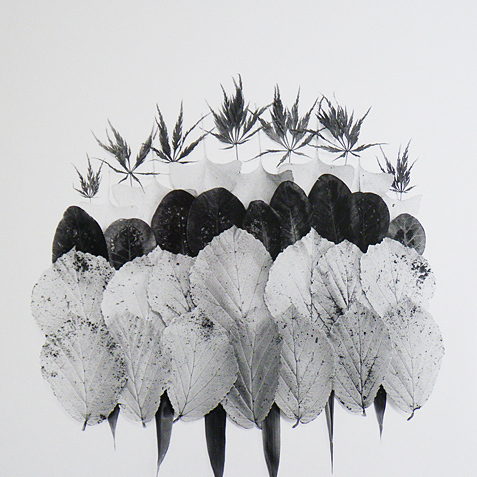 Kleurrijk herfstblad