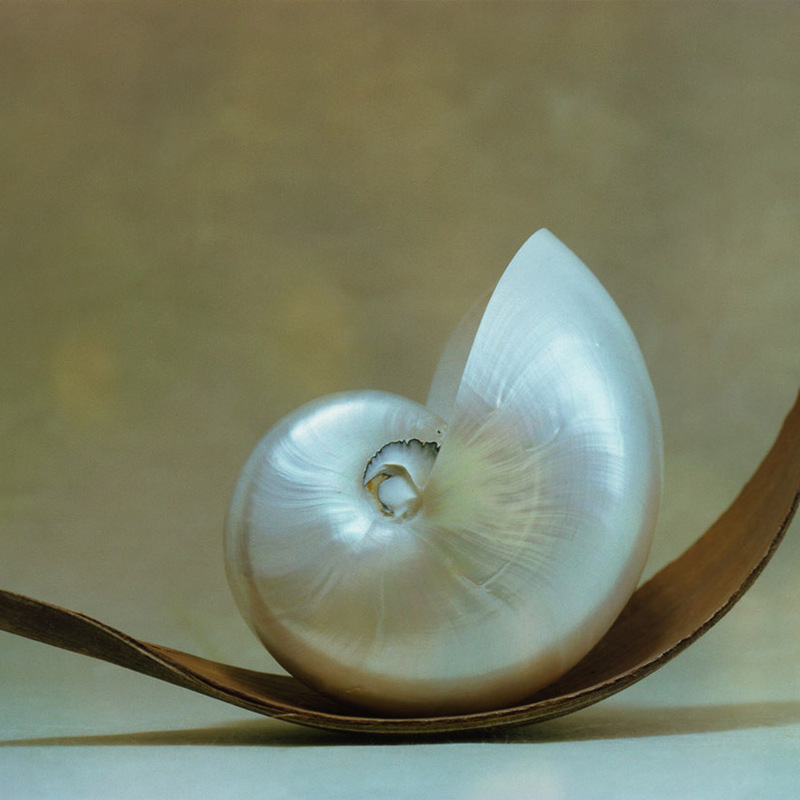 Interieurkunst zou je denken