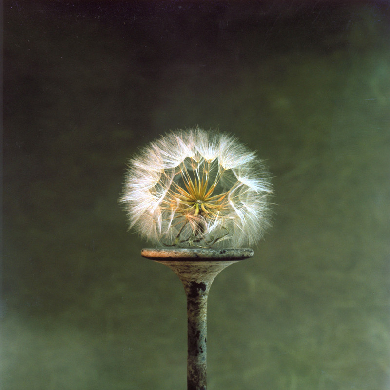 Contrast van een Inlaatklep en uienbol