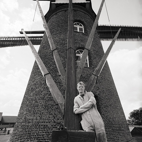 Mark Dwarswaard