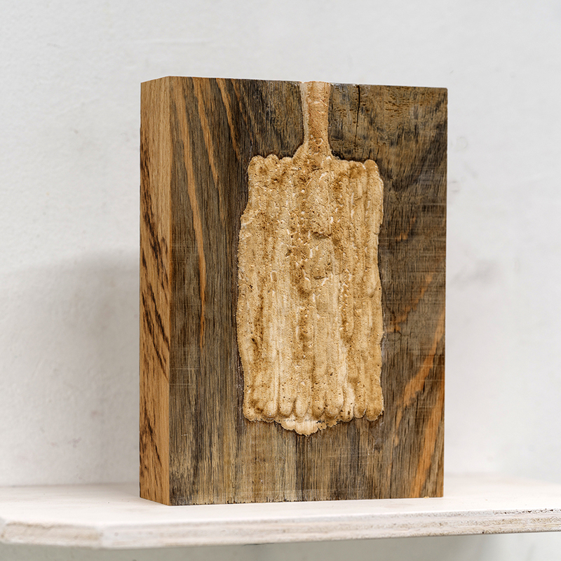 Gips en hout