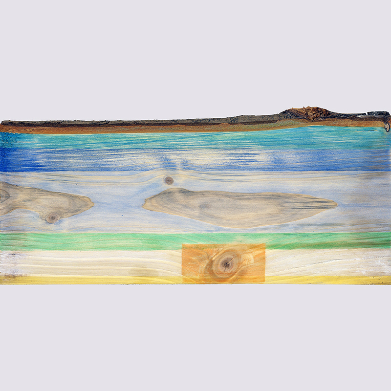 Plank 1 van 5